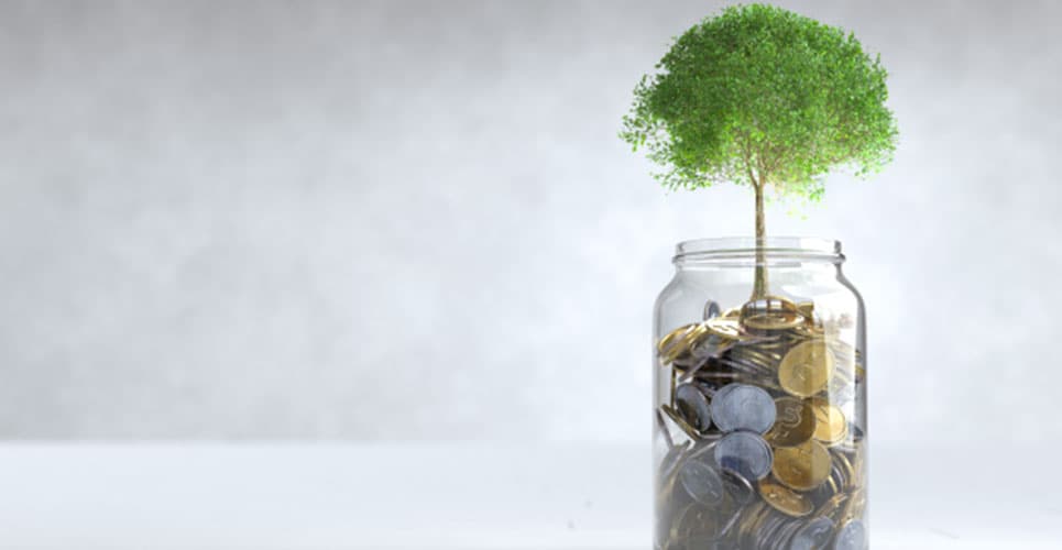 Capital Raising