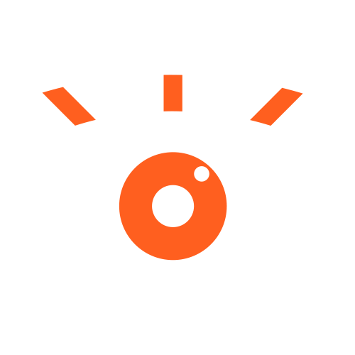 Vision